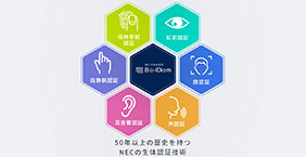 動画のキャプチャー画像