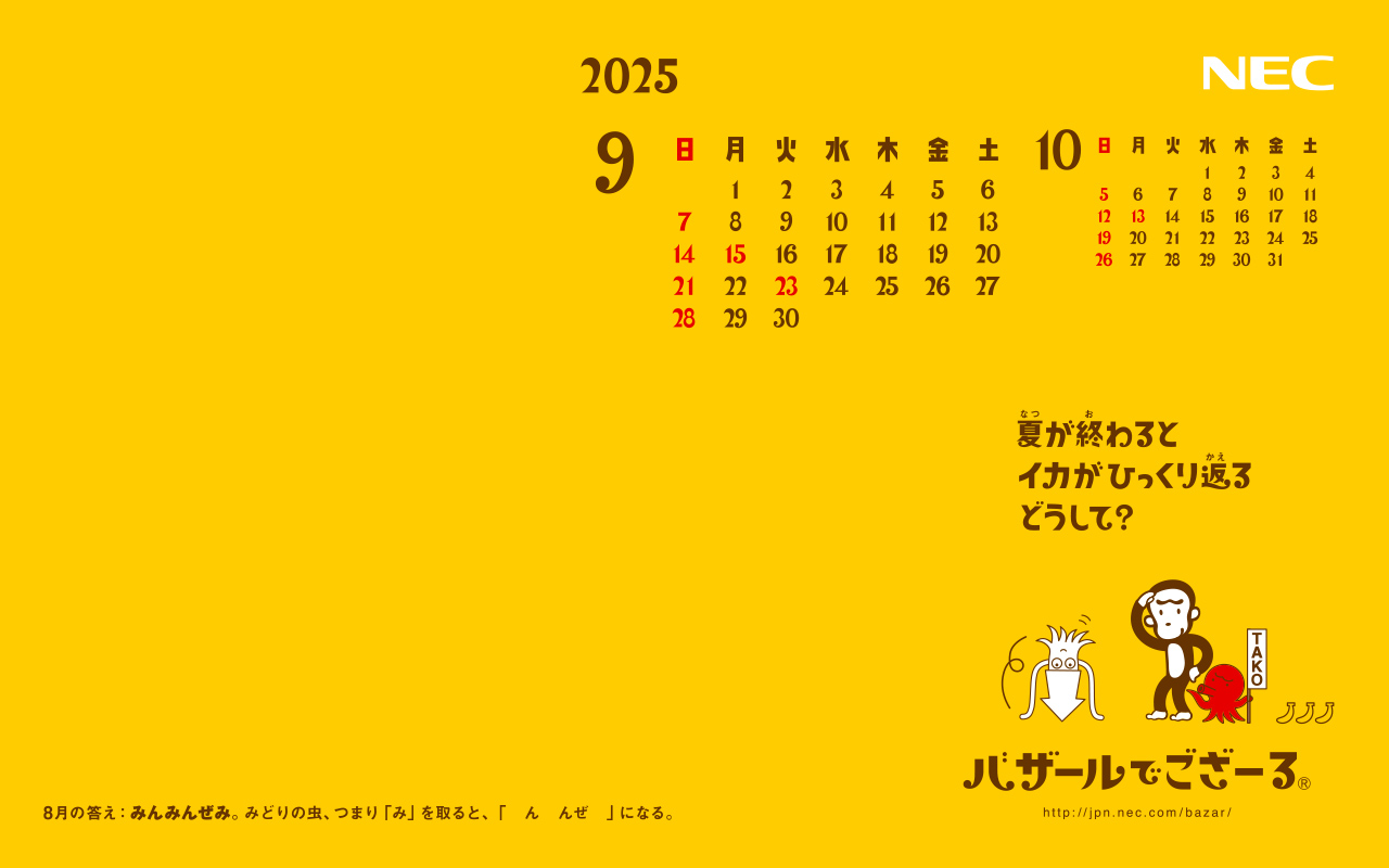 1280×800