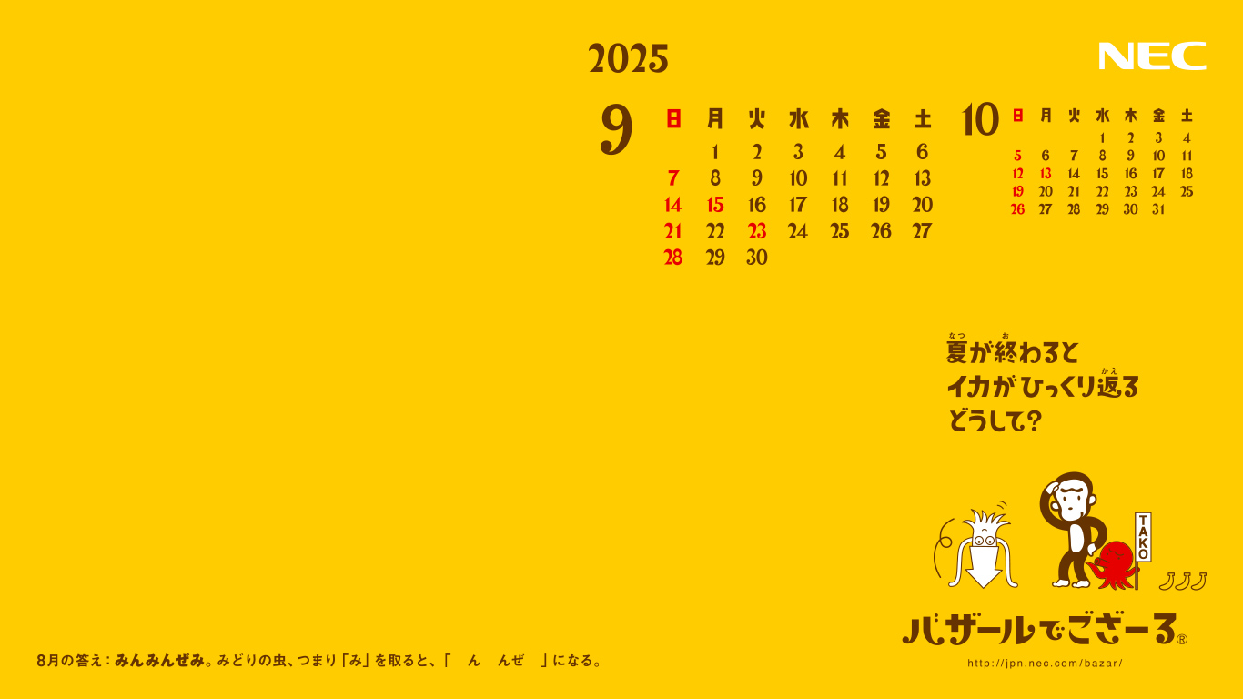 1366×768