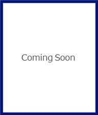 写真:中島 正朝 氏