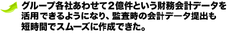 グループ各社あわせて2億件という財務会計データを活用できるようになり、監査時の会計データ提出も短時間でスムーズに作成できた。