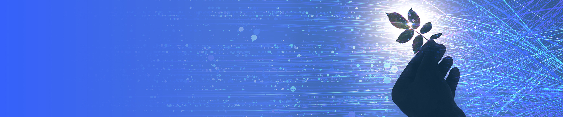 安心と安全、未来の成長へ　iStorage