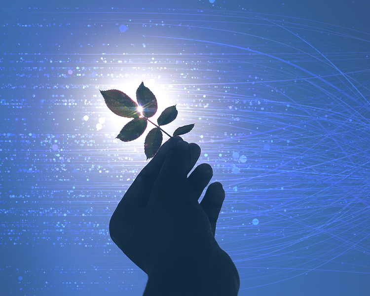 安心と安全、未来の成長へ　iStorage