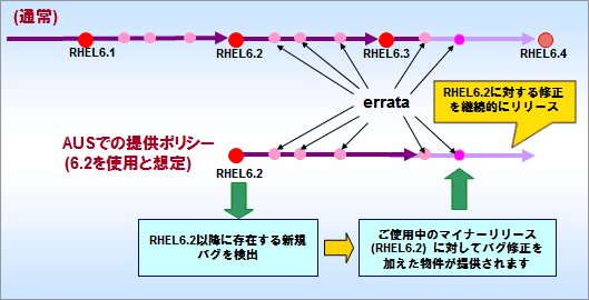 AUSでの提供ポリシー