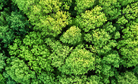 NEC環境ソリューション