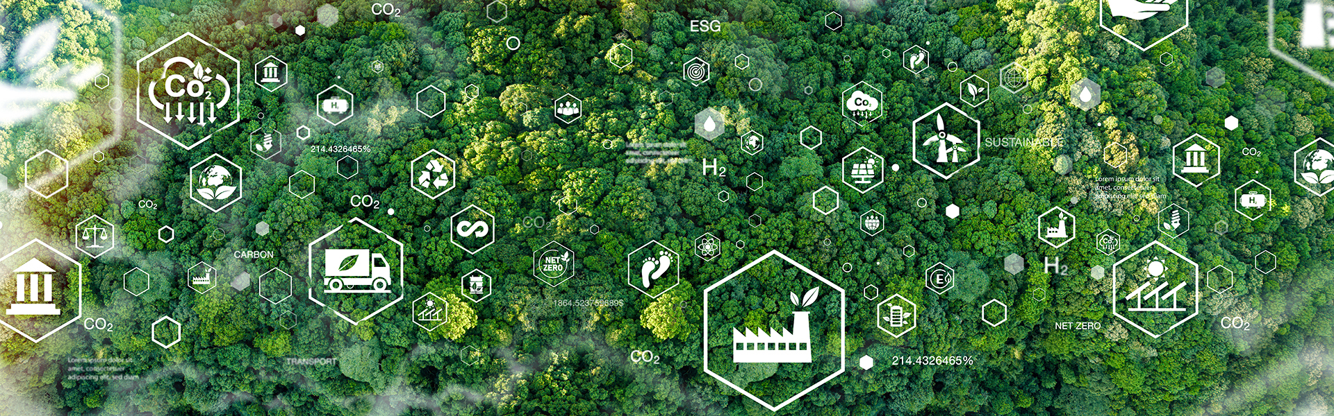 CO2削減や自然エネルギーを表すアイコンと森林のイメージ