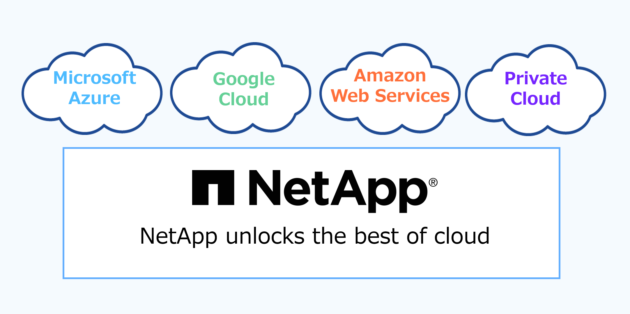 NetApp Public Cloud Services