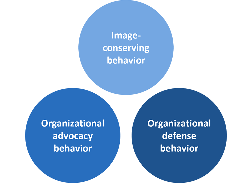 Activities for the Organization