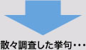 散々調査した挙句・・・