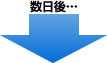 数日後・・・