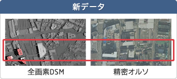 新データ