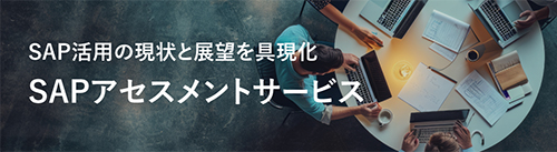 SAP活用の現状と展望を具現化/SAPアセスメントサービス