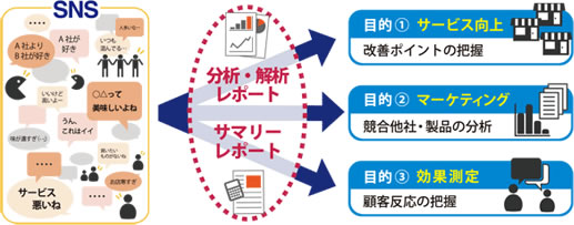 ソーシャルデータレポートサービスサービス概要図