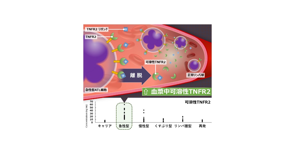 夢ナビ 大学教授がキミを学問の世界へナビゲート
