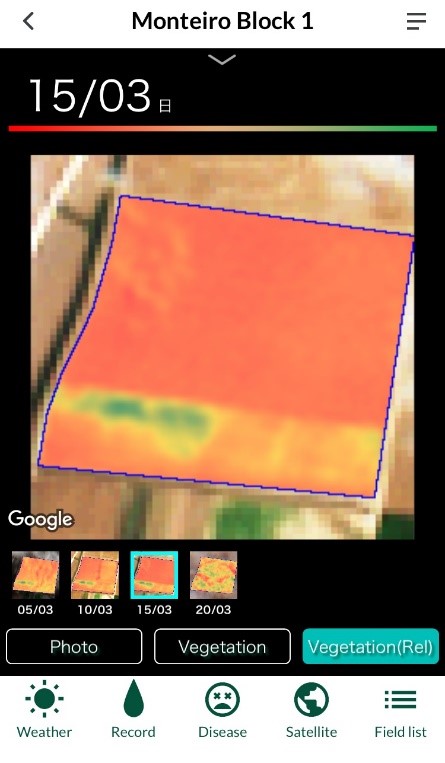 衛星画像から生育のバラつきを確認し、施肥をコントロールできる