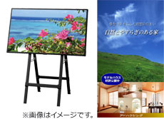 動画・静止画のイメージ