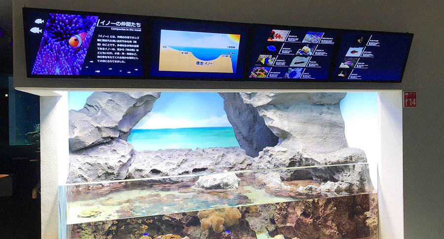 イノー（礁池）を再現した水槽上の 32型ディスプレイ