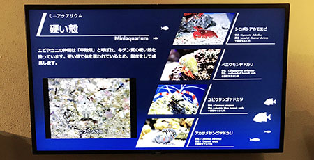 水槽の上に説明用のディスプレイを設置