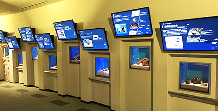 水槽の上に説明用のディスプレイを設置