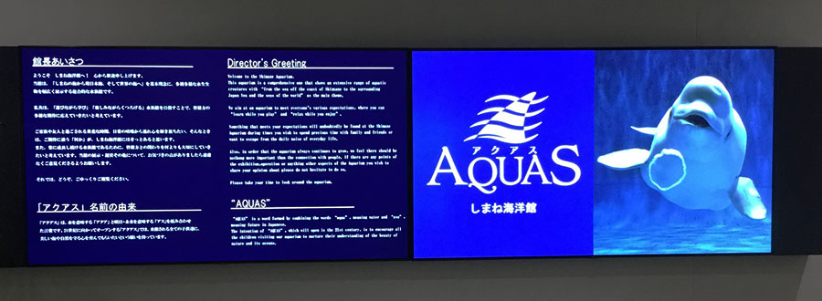 98型大画面に表示されたシロイルカがお出迎え