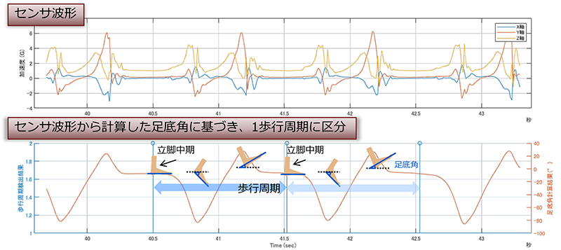 センサ波形と、自動的に１歩行周期が区分された結果