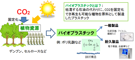 バイオプラスチック: NECの最先端技術 | NEC