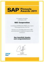 SAP Pinnacle Awards 2011受賞の写真