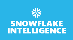 Snowflake Intelligence(Snowflake CoWork)