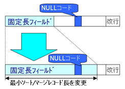 行順ファイルでのNULLコードの扱い