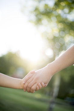 主なプロジェクト