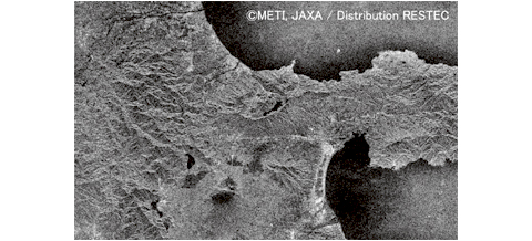 「PALSAR」観測画像（伊豆半島～富士山）