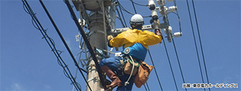 東京電力パワーグリッド様